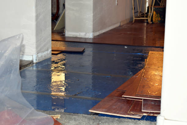 Professional Water Damage Restoration technician working in Eva, TN
